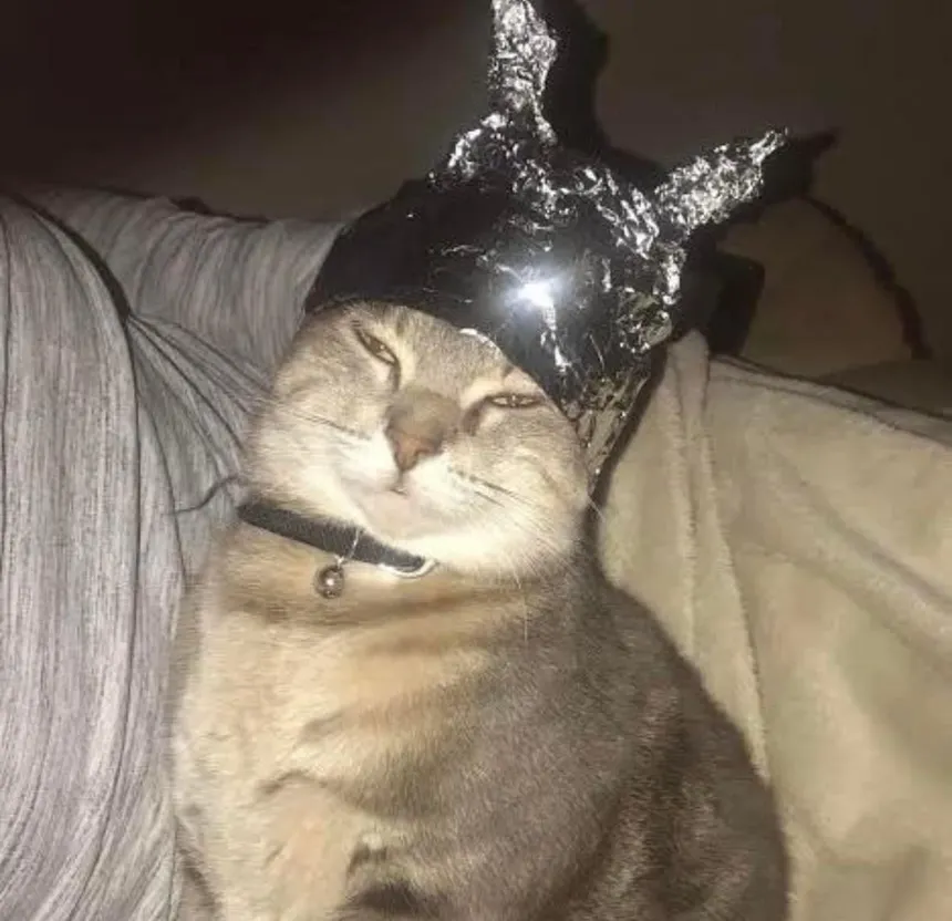 Smug cat with horned foil hat