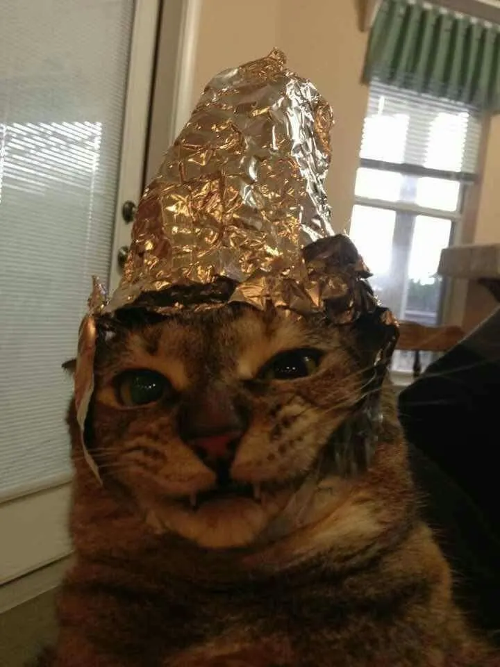 Gremlin cat with tall foil cone