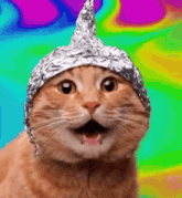 Screaming cat in foil hat, animated