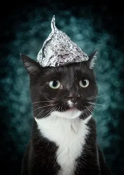 Tuxedo cat official portrait with foil hat