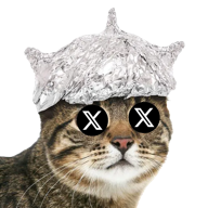 Tin Hat Cat on X
